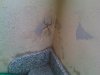IMG00733-20110830-1228.jpg
