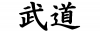 Budo-kanji2.png