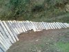 20120111_004.jpg