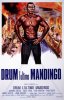 drum_lultimo_mandingo_warren_oates_steve_carver_001_jpg_vsmb.jpg