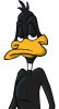 Daffy_Duck_by_Gruszkens.jpg
