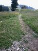2012-07-10 12.59.06.jpg