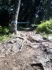 2012-07-25 13.12.59.jpg