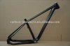 29er_mountain_frame.jpg