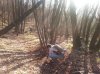 20121231_093903.jpg