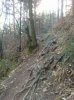 WP_000099.jpg