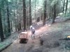 WP_000543.jpg