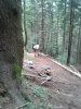 WP_000553.jpg
