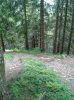 WP_000567.jpg