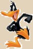 Daffy-Duck-cropped500.jpg