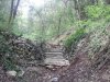 2014-04-26 14.08.09.jpg