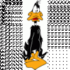 Daffy_Duck_8_S.gif