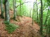 IMG_2714.jpg