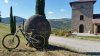 Tenuta Bonzara.jpg