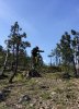 IMG-20160430-WA0000.jpg