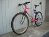 IMG_0084small.jpg