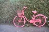 58736604-bicicletta-rosa-in-un-giardino-verde-Archivio-Fotografico.jpg