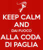keep-calm-and-dai-fuoco-alla-coda-di-paglia.png