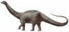 brontosauro-apatosauro-uno-dei-piu-grandi-dinosauri.jpg