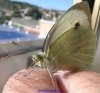 DSCN0528.jpg