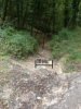 DSC01883.JPG