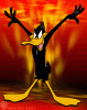 daffy5.gif