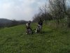 DSCF1486.jpg