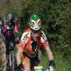 65.gif