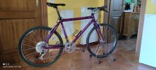 MTB Colnago master décor alloy