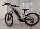 ebike002.jpg