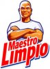 mr-clean-maestro-limpio iddo.jpg