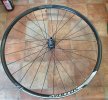 Coppia ruote SYNCROSS XR 2.5 tubeless ready