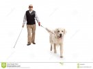 uomo-maturo-cieco-che-cammina-con-un-bastone-e-cane-106329647.jpg