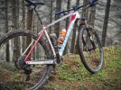 MTB Specialized Anno 2015