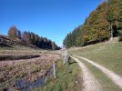 20211017_cansiglio_alpago_bici_0074.jpg