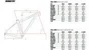 Ibis-DV9-Geometry-Chart.jpg