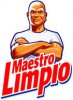 mr-clean-maestro-limpio.jpg