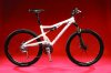 Santa%20Cruz%20lead%20photo.jpg