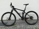 Canyon Lux 9.9 Forcella Reverse
