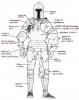 ARMFig_8.jpg