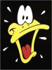 warner-brothers-daffy-duck-2403967.jpg