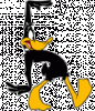 daffy014.gif