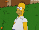 Homer-Cespuglio-Base-per-MEME-in-GIF-Animata-Scarica-Gratis-e-Crea-il-Tuo-MEME-Animato-con-Hom...gif