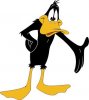 daffy_duck_xx.jpg