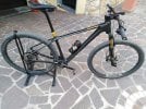 mtb front 29 lee cougan rampage M 2021