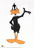 daffy-duck1.gif