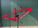 Specialized Epic 2021 tg L