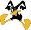 DAFFY_DUCK_03.jpg