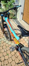 bici DH specialized Demo carbon