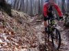 mtb 004.jpg